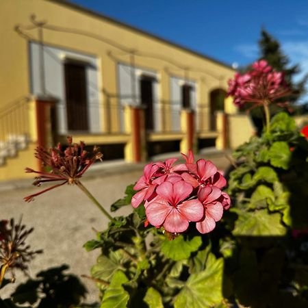 Agriturismo Il Trappeto Галиполи Екстериор снимка
