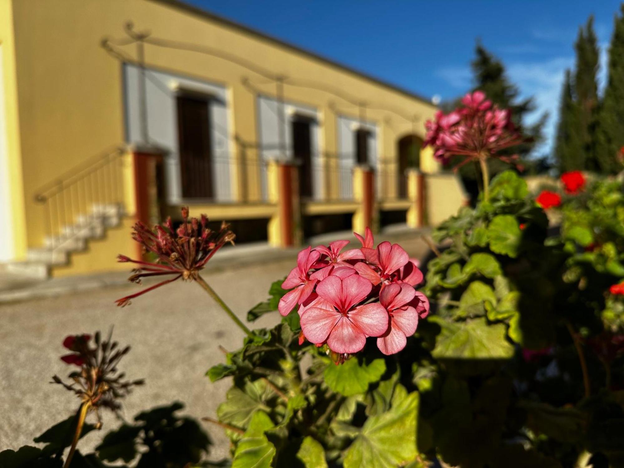 Agriturismo Il Trappeto Галиполи Екстериор снимка