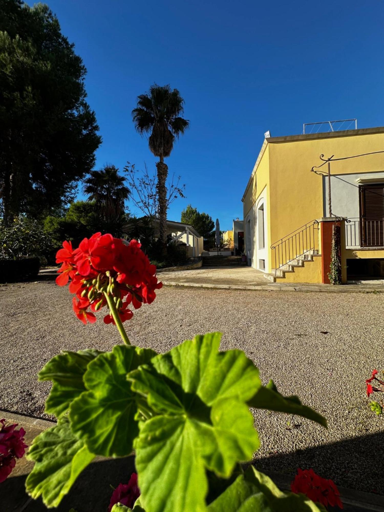 Agriturismo Il Trappeto Галиполи Екстериор снимка